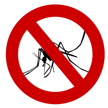 no mosquitoes