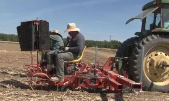 No till tomato transplanting. Five Points, CA. April 23, 2018.