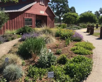Butte All-Star Garden, L. Kling