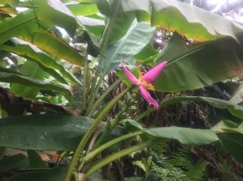 photso by Melissa Sandoval