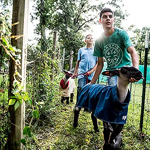 4h_Texas_edits_hires-6220