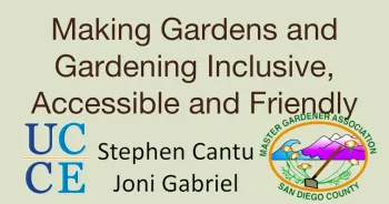 Screen Shot 2018-06-29 at 8.45.53 PM