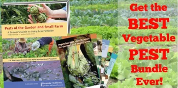 Photo of Pests of the garden and small farm book and Vegetable pest identification cards.