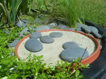 Damp sand with rocks provide a safe drinking area.