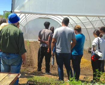 Yisrael Farm high tunnel hoophouse