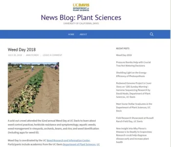 weed day pls blog screencapture