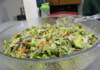 Avocado Salad