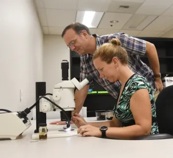 Arachnologist Jason Bond confers with his postdoctorate, Vera Opatova, newly arrived from Auburn University. (Photo by Kathy Keatley Garvey)