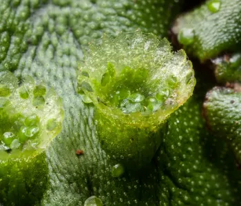 2018-01-23 16-54-37 (B,Radius8,Smoothing4)