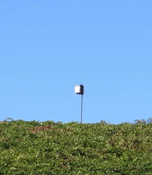 An owl box.