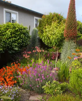 Figure 1. Mixed planting of woody and herbaceous perennials. Photo credit: P. Kosina, UCIPM