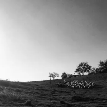 46495447 2438073522887627 3345369199588409344 n