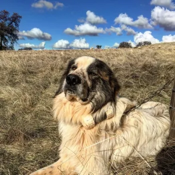 Photo Dec 02, 12 55 04 PM