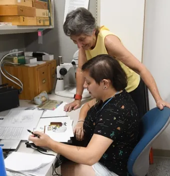 Lynn Kimsey, director of the Bohart Museum, admiring the work of entomologist-artist Karissa Merritt. (Photo by Kathy Keatley Garvey)