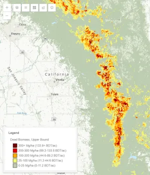 Dead Tree Biomass webapp