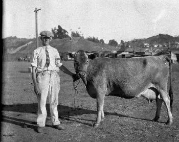 1920s dairyman with cow