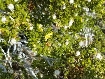 photos by Jenni Dodini