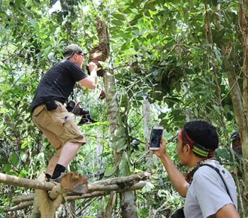 Clay Bolt photographing the rediscovered Megachile pluto in her nest. (copyright Simon Robson)