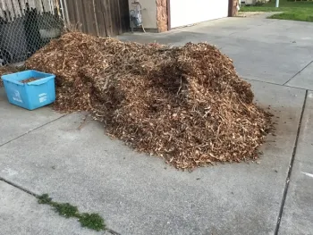 photos by Tina Saravia