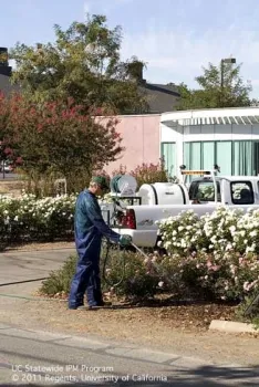 A single hose pesticide application in a landscape. (Credit: Jack Kelly Clark)