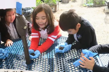 Playing with worms.
