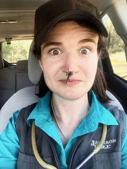 Doctoral candidate Charlotte Herbert Alberts of the Bohart Museum of Entomology, UC Davis Department of Entomology and Nematology, with an Asilidae.