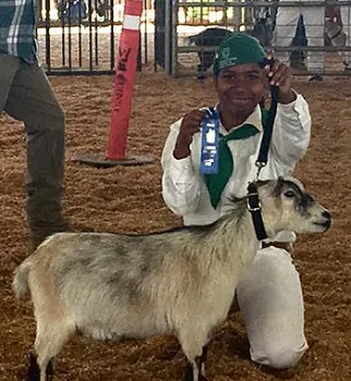 33103043_1715304921885849_6760711521031946240_n