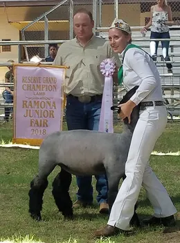 38122095_1821484274596848_2052510135695179776_o