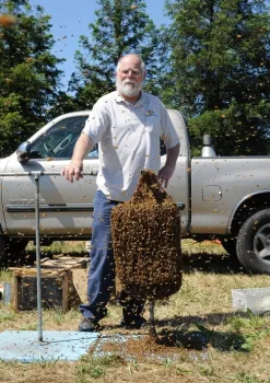 Kim Flottum, editor of Bee Culture, stands by a cluster of bees, ready for bee wrangling by his friend Norm Gary, emeritus professor of entomology. Gary is the author of