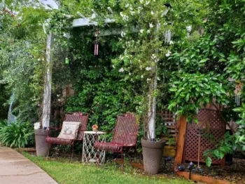 Our Peaceful Jasmine Pergola Haven