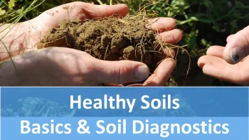 Healthy soils: Basics & Diagnostics