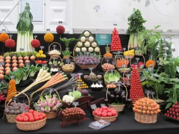 Look at the size of the leeks!