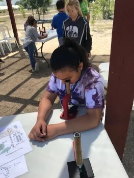 evapotranspiration activity