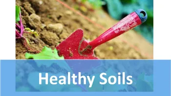 healthy soils