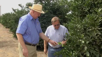 Click image to download video.