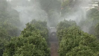 Click image to download video.