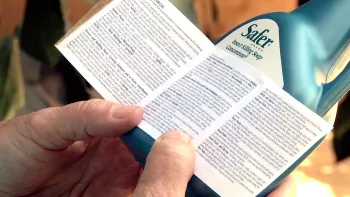 Click image to download video.