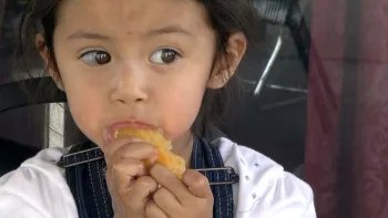 Click image to download video.