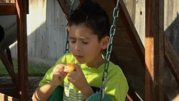 Click image to download video.