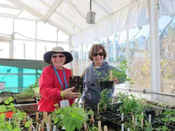 Master Gardeners in the greenhouse at the Hansen REC