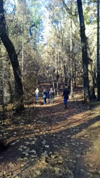 Fire resilient forests have the benefit of offering greater access for recreation. (Photo: Butte County Fire Safe Council)