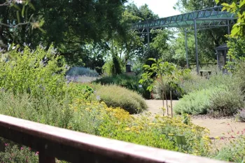 A view of the Haven in May showing the diversity of flower and food gardens we provide for bees
