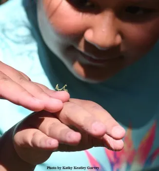 So tiny! Jasmine Morisseau, 10, checks out the male praying mantis, a Stagmomantis limbata, at the Bruce Hammock Lab Water Balloon Battle. (Photo by Kathy Keatley Garvey)