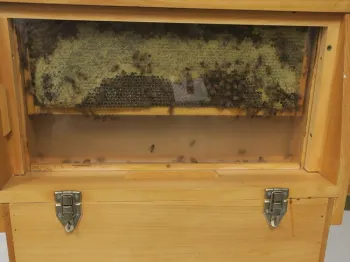 ObservationHive