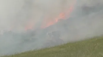 Click image to download video.