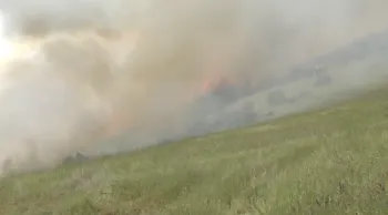 Click image to download video.