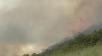 Click image to download video.