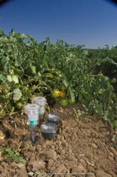 soil moisture sensors