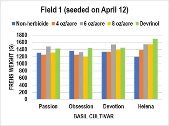 Basil leaves were cut on June 28 and July 12, 2019. Bagged samples were weighed for fresh biomass.
