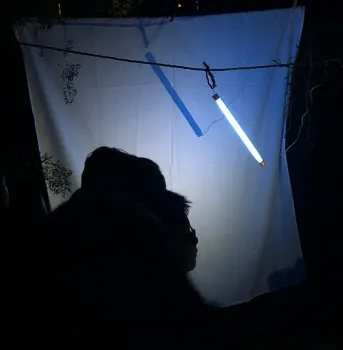 Blacklighting at the Bohart. (Photo by Kathy Keatley Garvey)